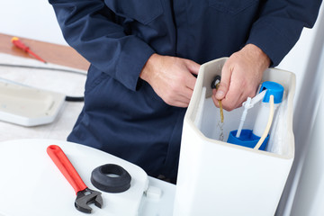 DIY Or Hire a Plumber for Toilet Repair